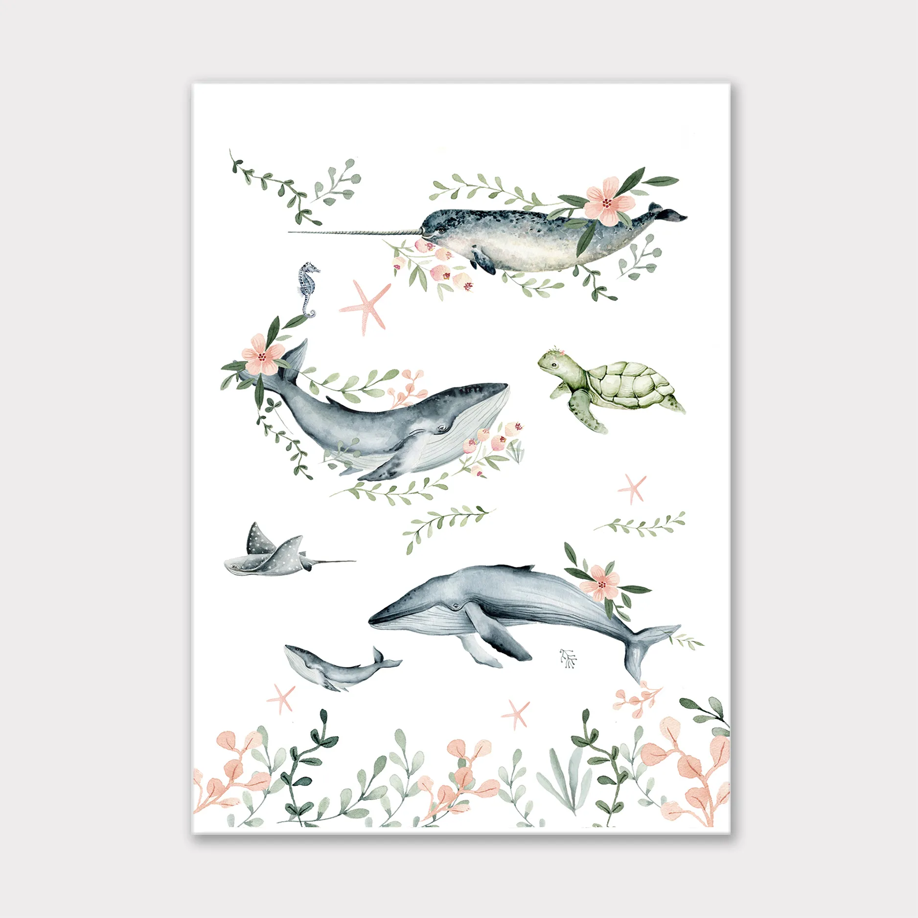 Animales Marinos Niña