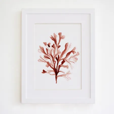 Product 7