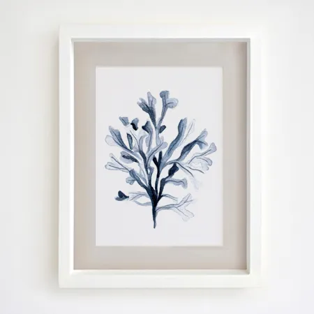 Product 8
