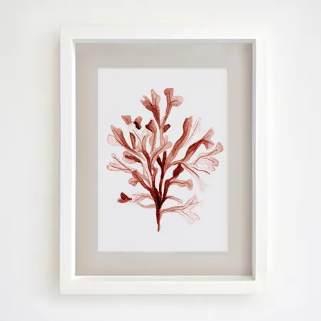 Product 8