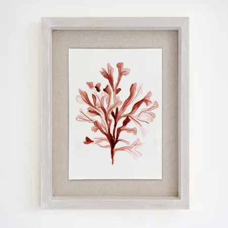 Product 6