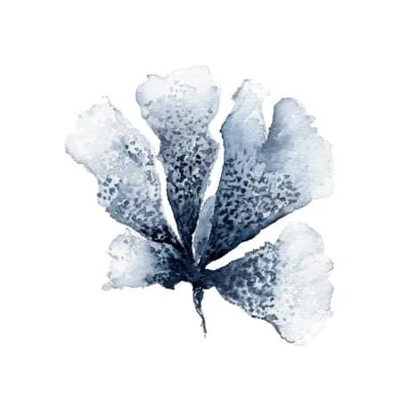 Coral Azul 5