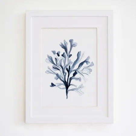 Product 7