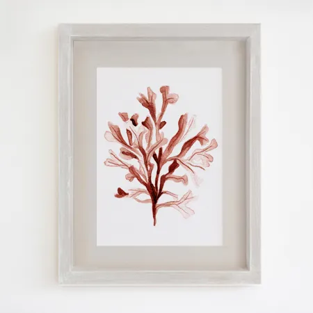Product 5
