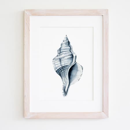 Product 85