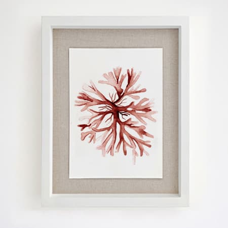 Product 102