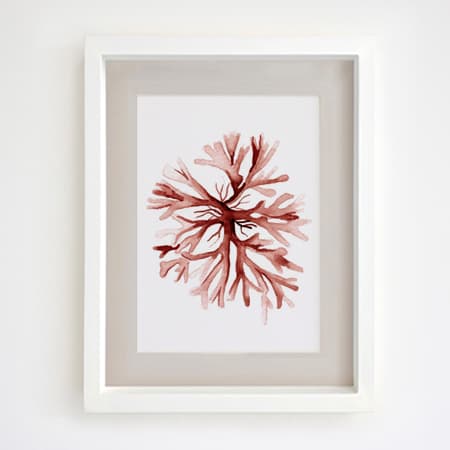 Product 29