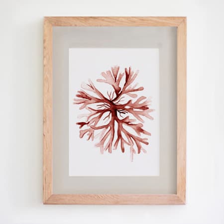 Product 59