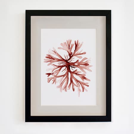 Product 20