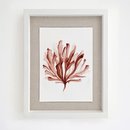 Product 78