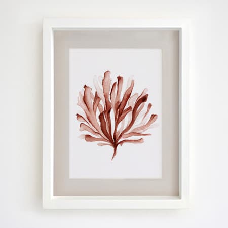 Product 65