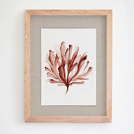 Product 84