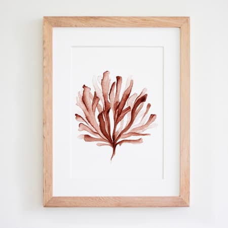 Product 34