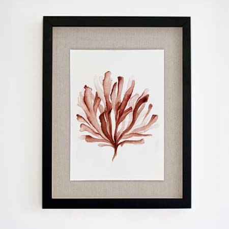 Product 81