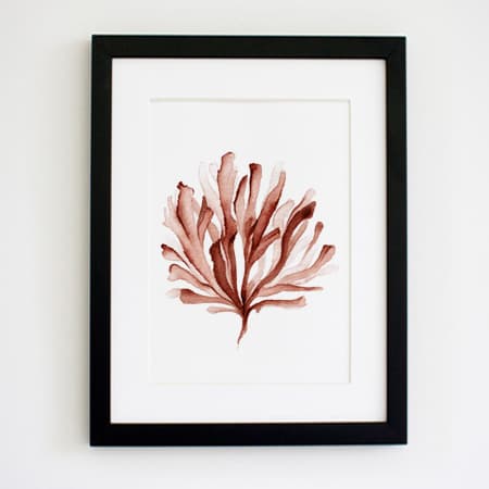 Product 109