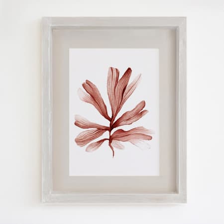 Product 62