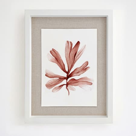 Product 78