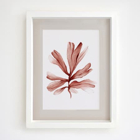Product 29