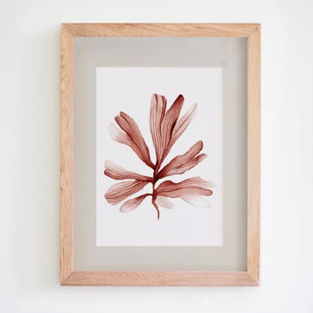 Product 35