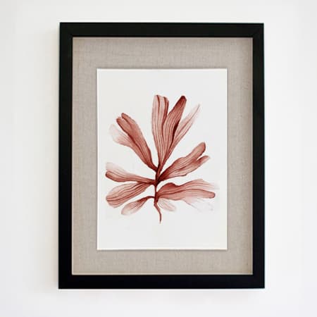 Product 57