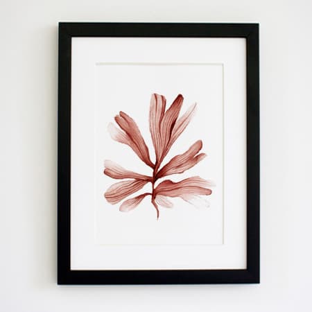 Product 103