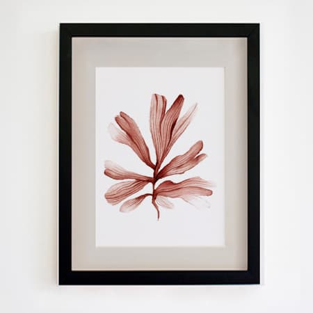 Product 104