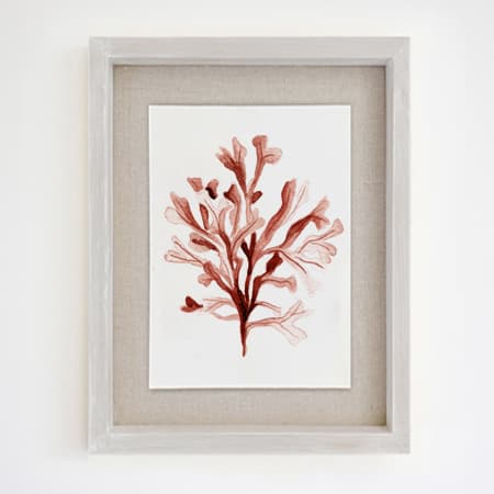 Product 39