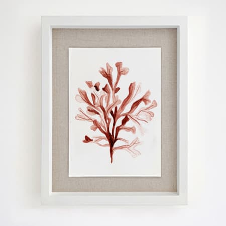 Product 102
