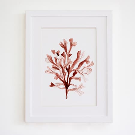 Product 108