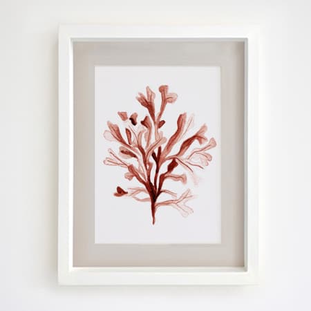Product 29