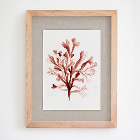 Product 84