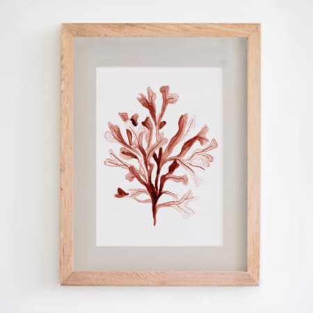 Product 35