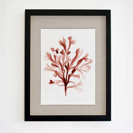Product 81