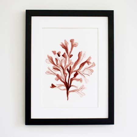 Product 103