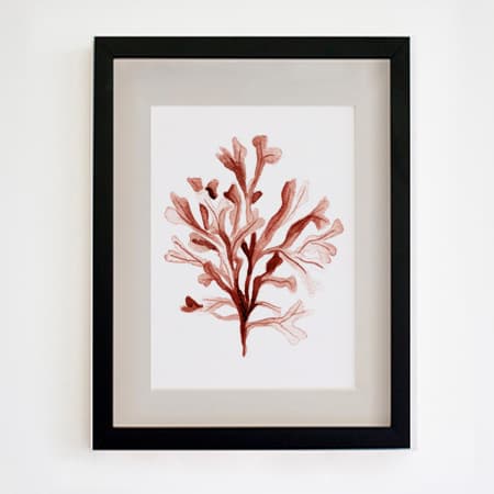Product 20