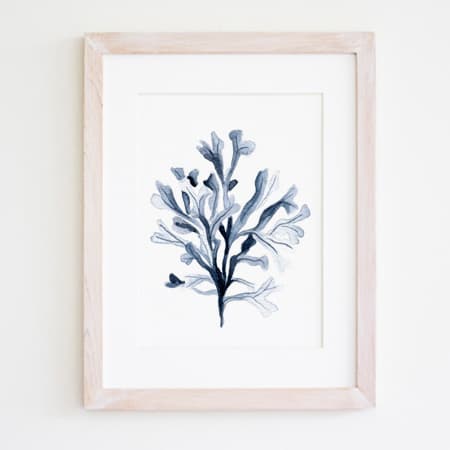 Product 49