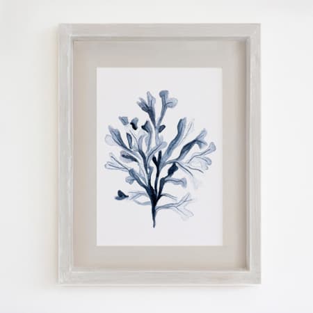 Product 38
