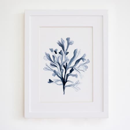 Product 28