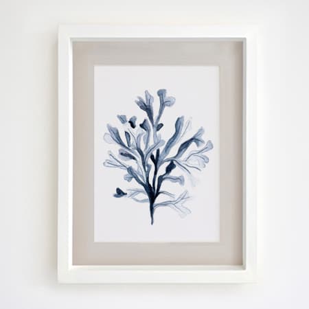 Product 65