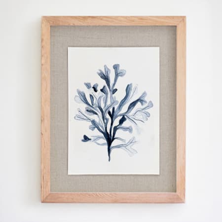 Product 84