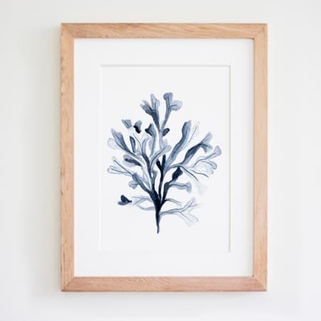 Product 58