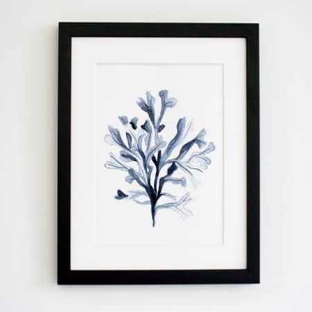 Product 79