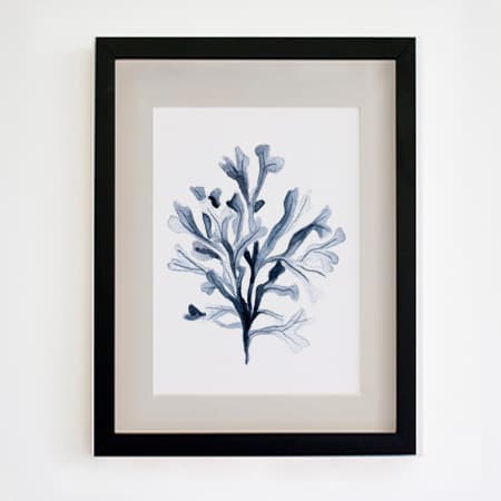 Product 68