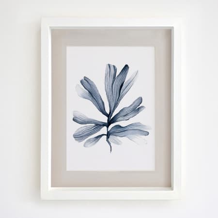 Product 29