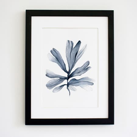 Product 31