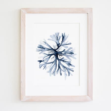 Product 25