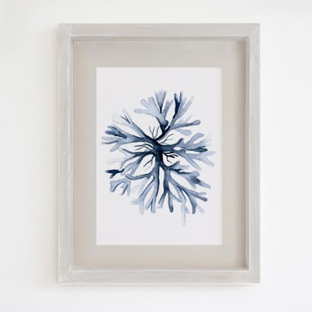 Product 86