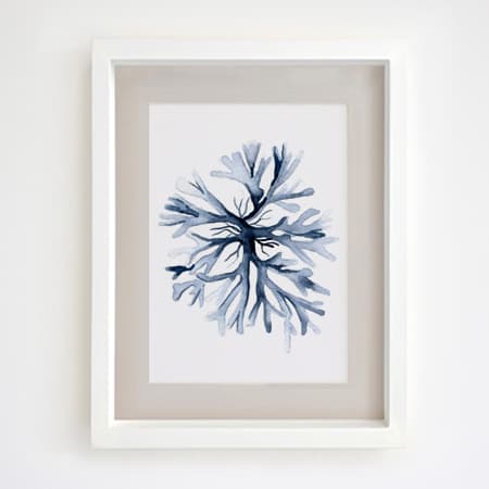 Product 41