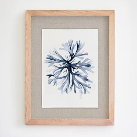 Product 24