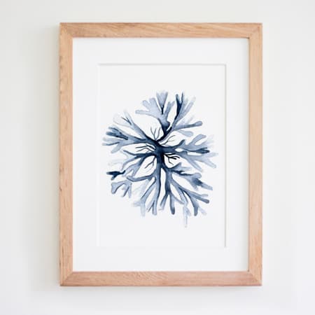 Product 34